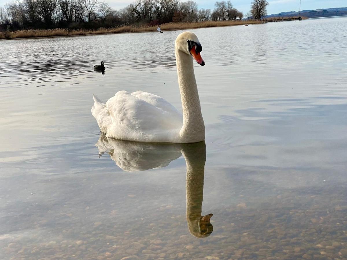 Ferienwohnung Am Chiemsee Übersee Eksteriør bilde